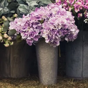 15" Deep Purple Hydrangea Stem