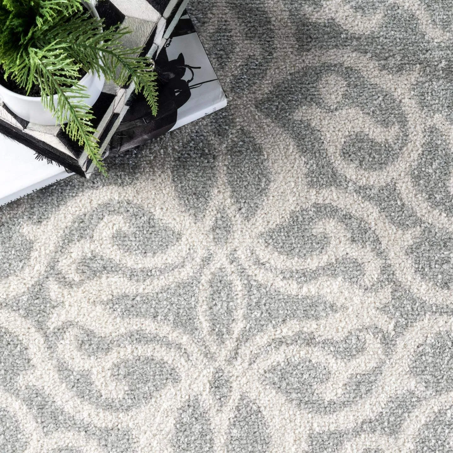 Beautiful nuLOOM Contessa Silver 5 ft. x 7 ft. 5-inch Indoor Area Rug! Retails $206 