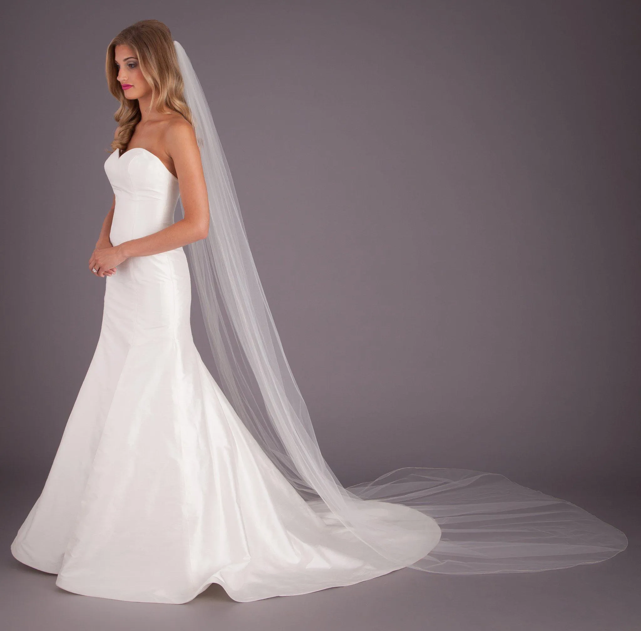 Elise Silver Edge Veil