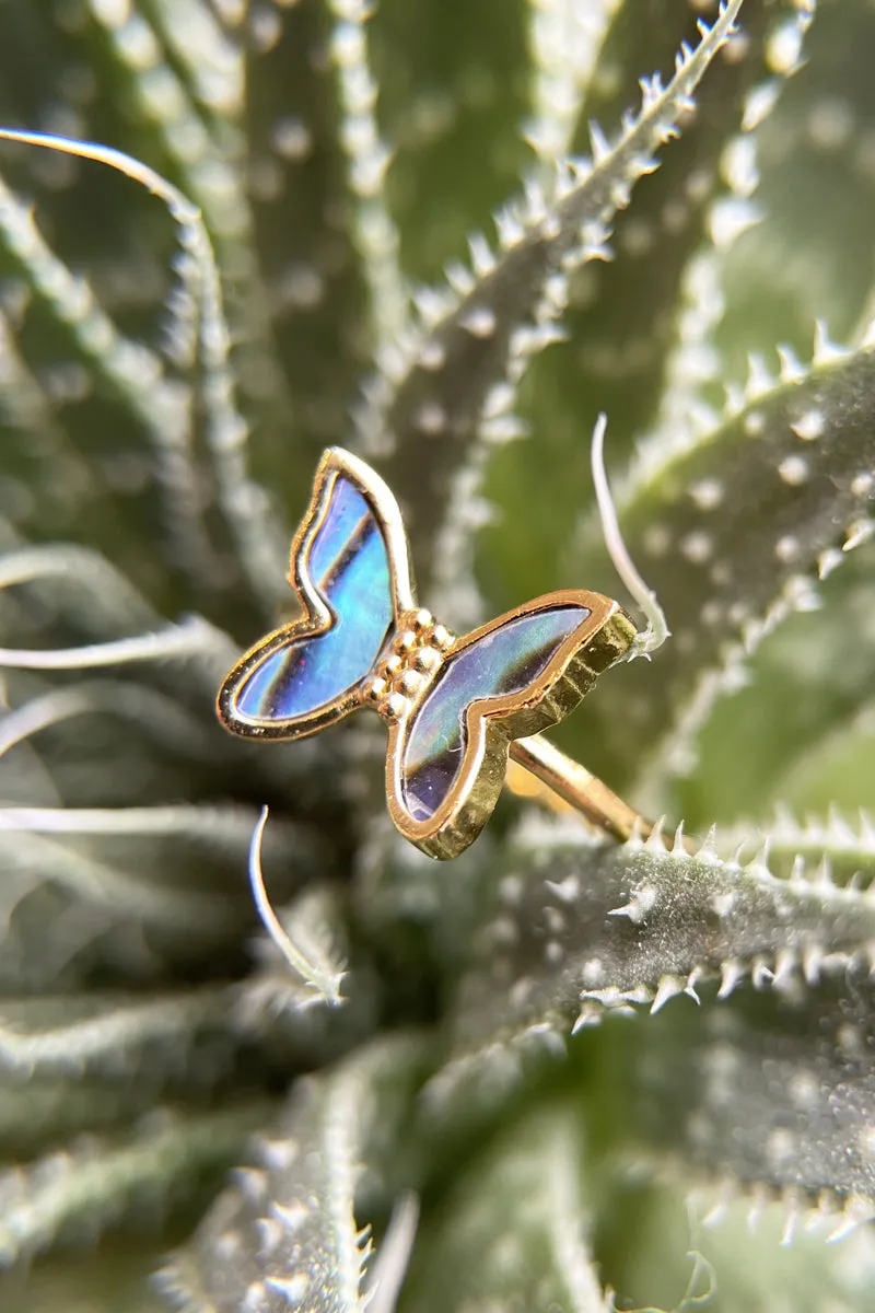 Flutter Ring