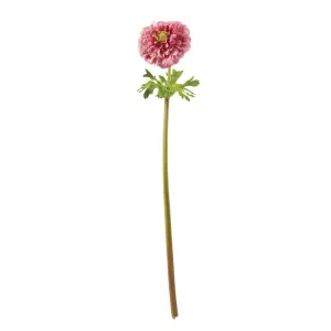 HOT PINK ZINNIA STEM