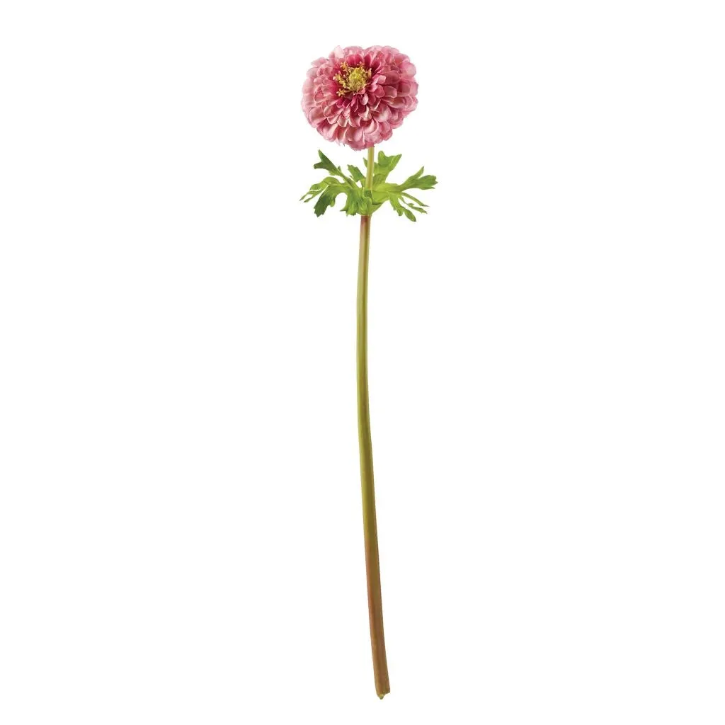 HOT PINK ZINNIA STEM