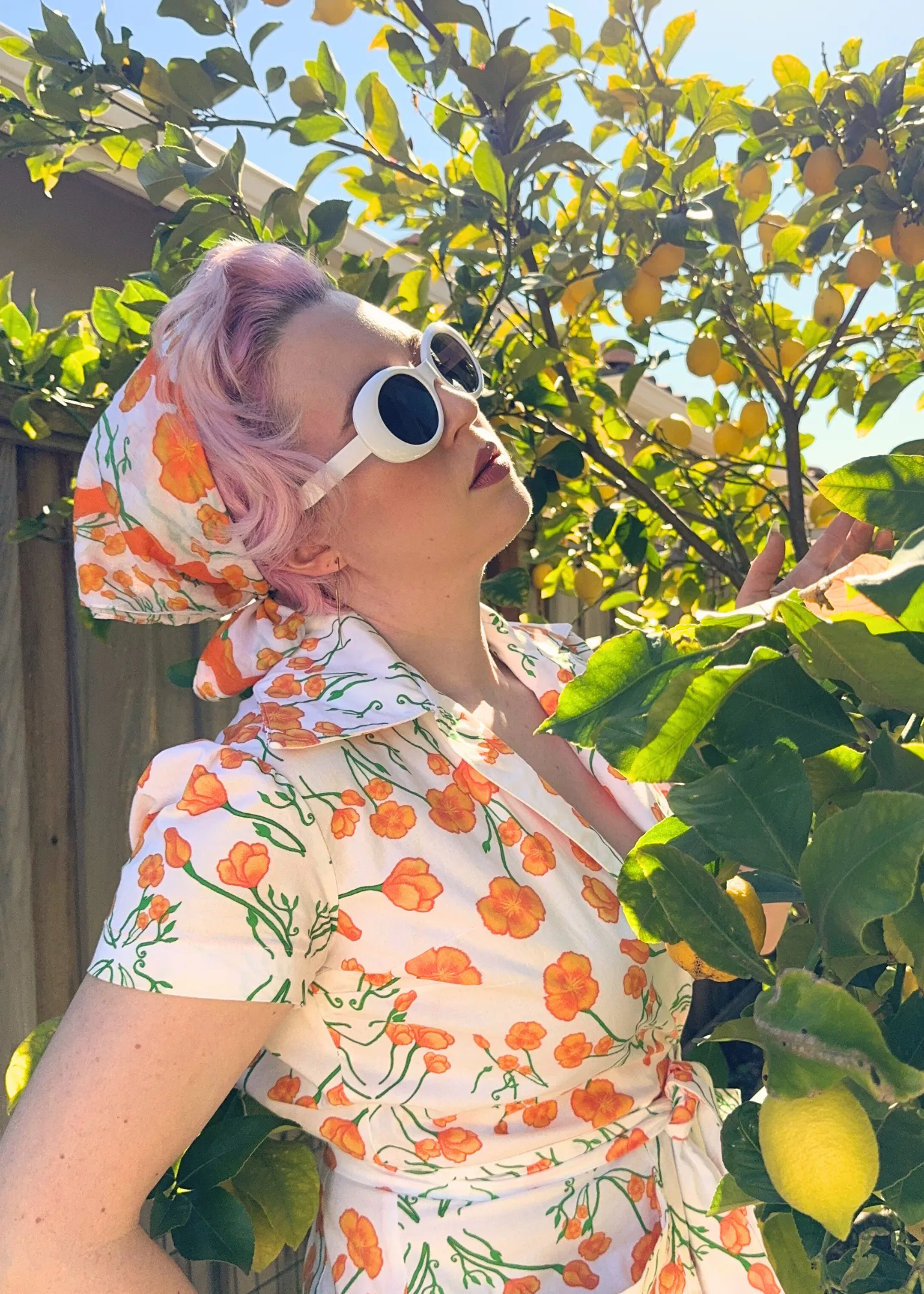 Mad California Poppies Cotton Mulmul Scarf