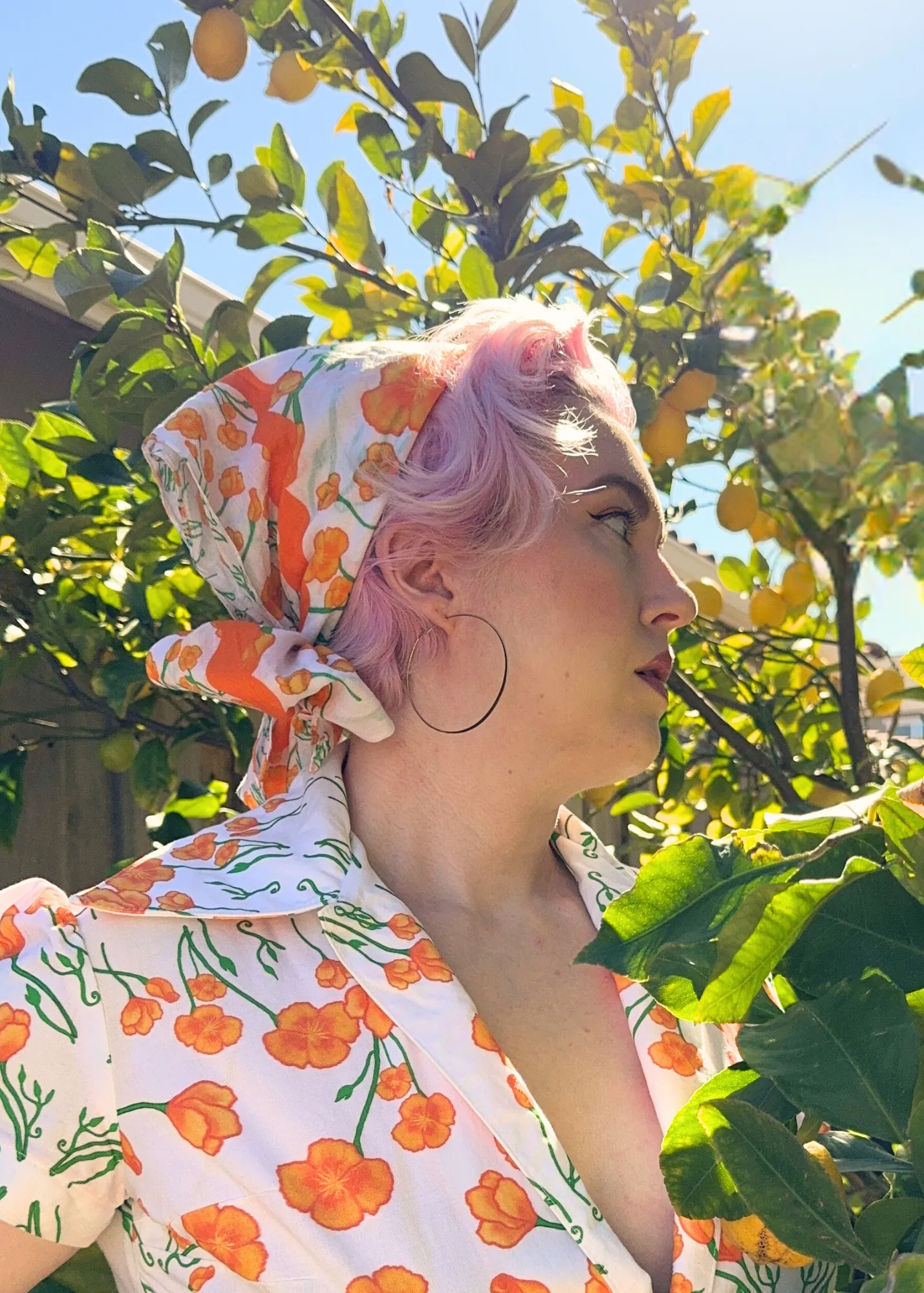 Mad California Poppies Cotton Mulmul Scarf