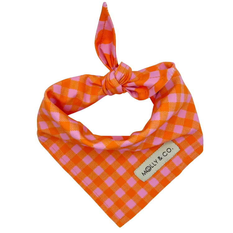 Mango - Reversible Dog Bandana