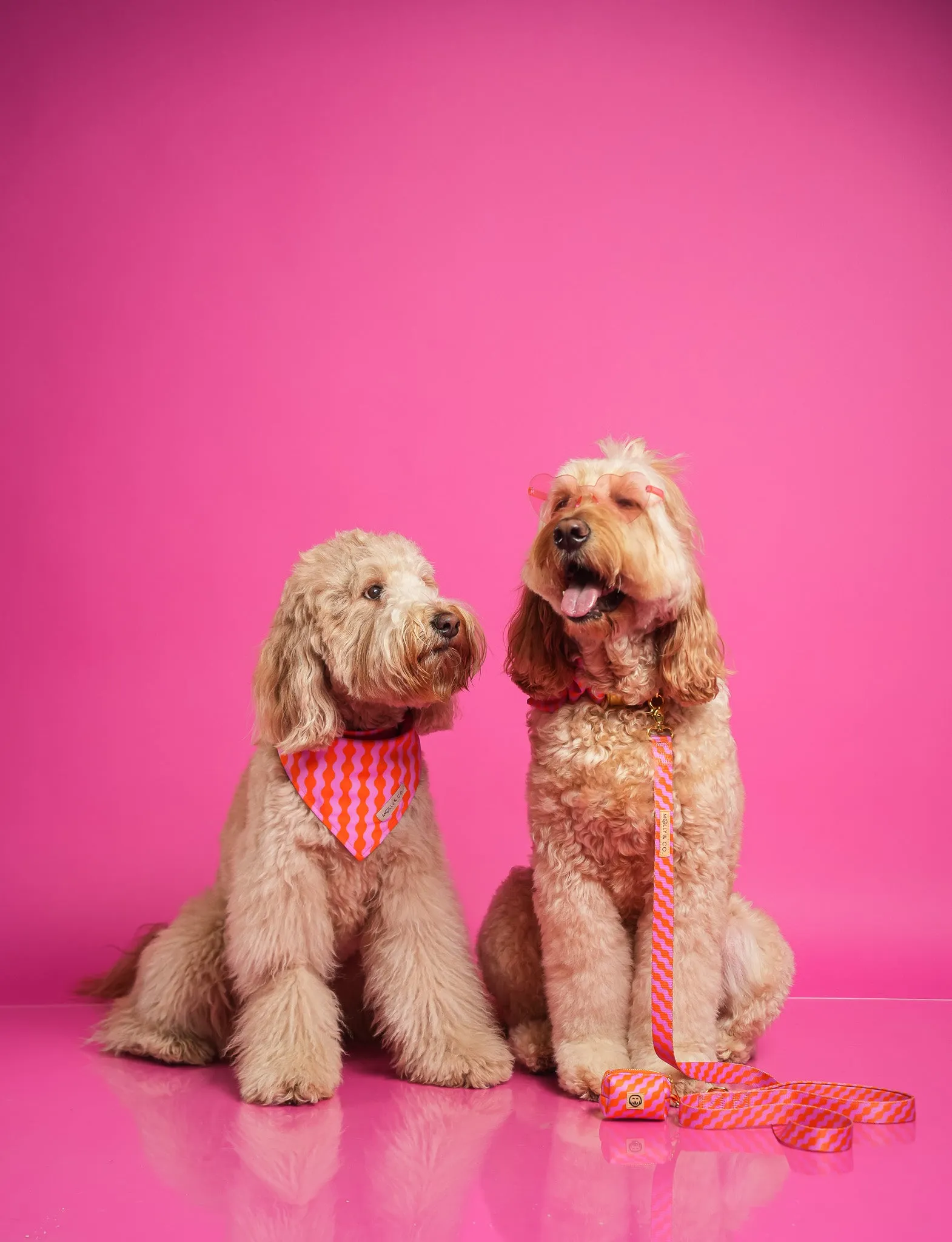 Mango - Reversible Dog Bandana