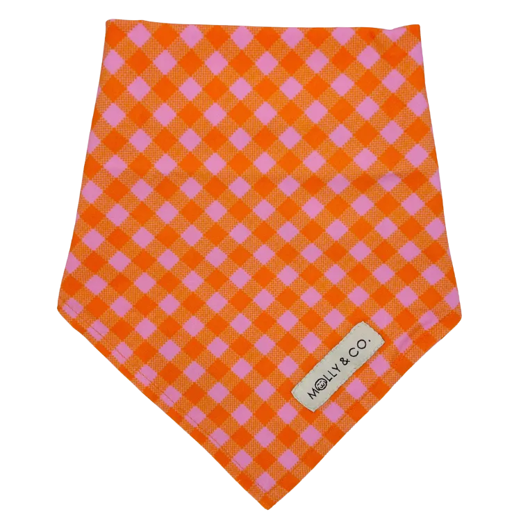 Mango - Reversible Dog Bandana