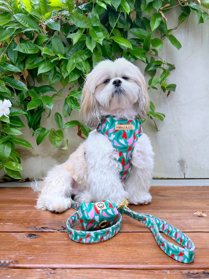 MOLLY & CO. - Leash- Amore