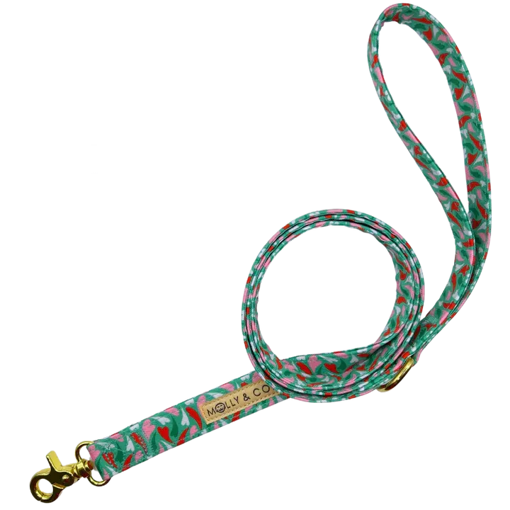 MOLLY & CO. - Leash- Amore