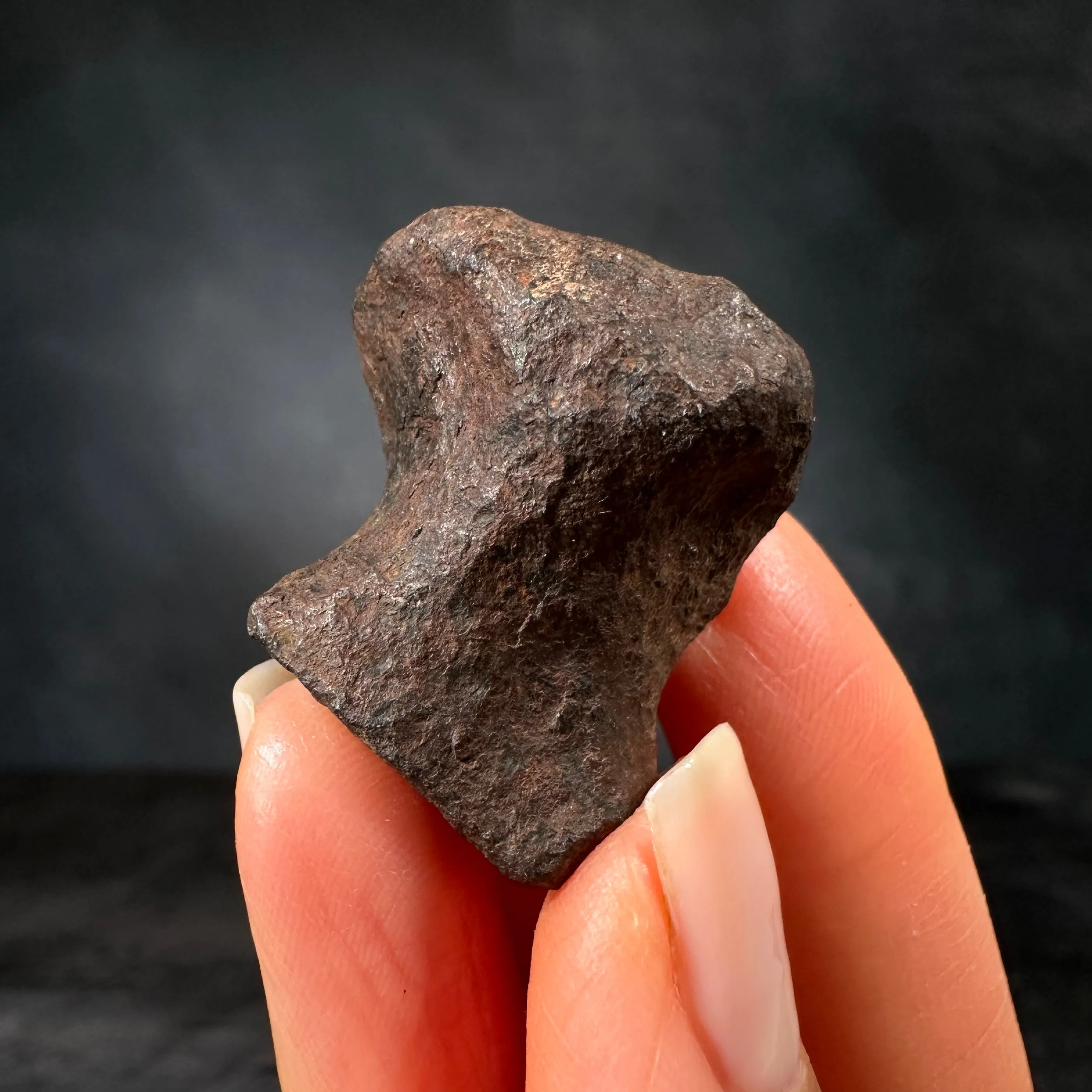 Mundrabilla Meteorite, 38.8g | Nullarbor Plain, Western Australia