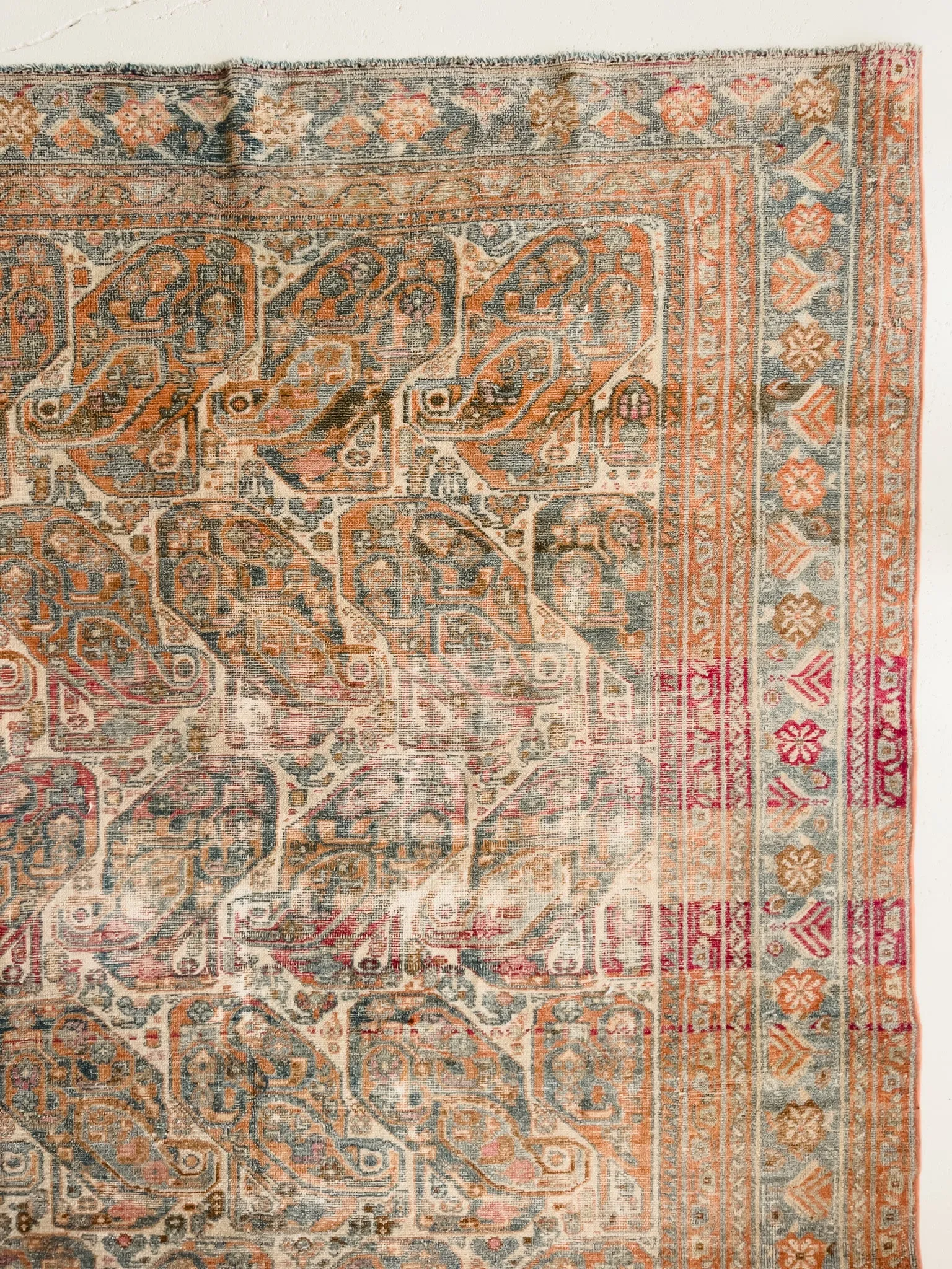 Paisley 4'8 x 6'2