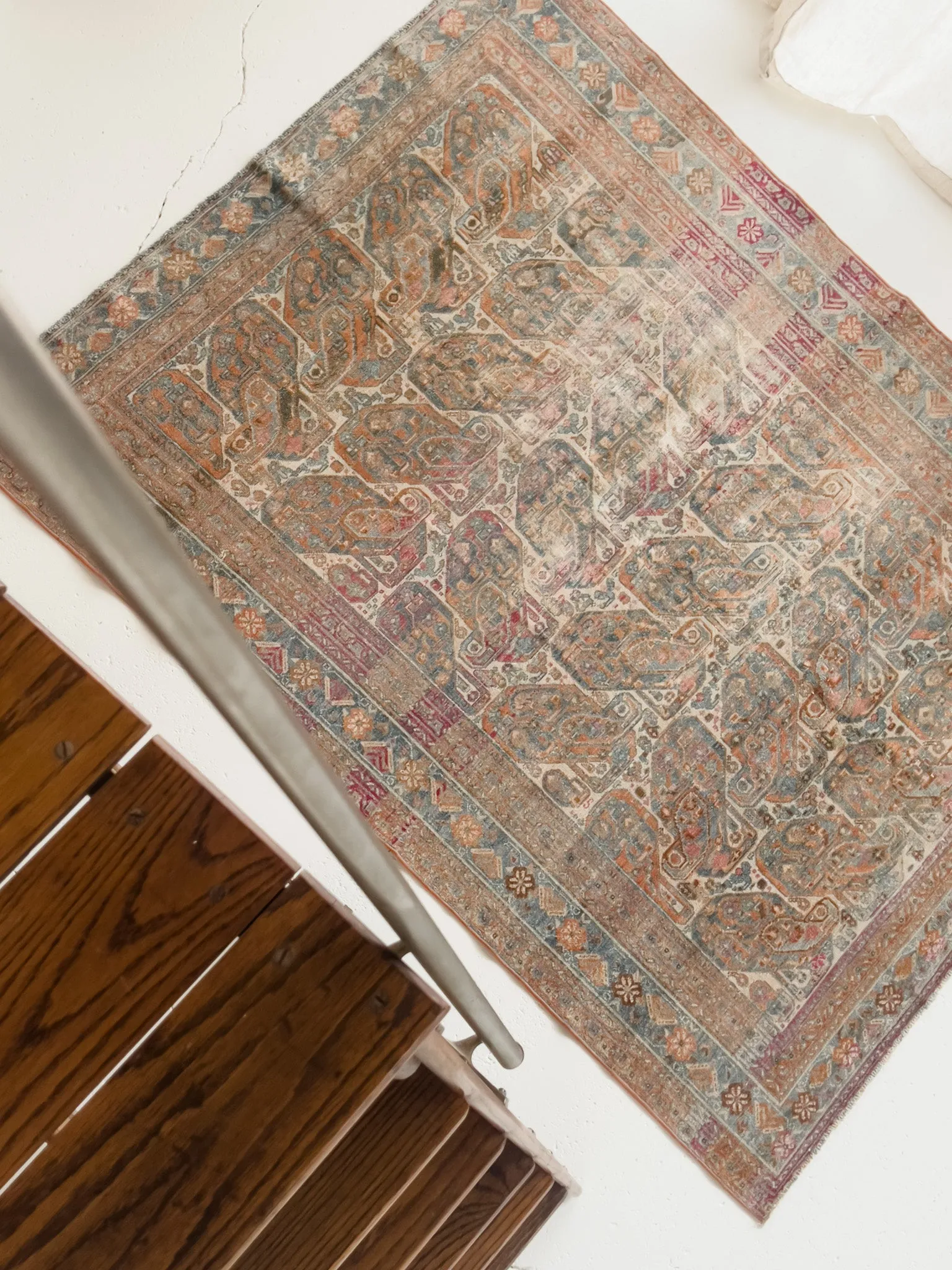 Paisley 4'8 x 6'2