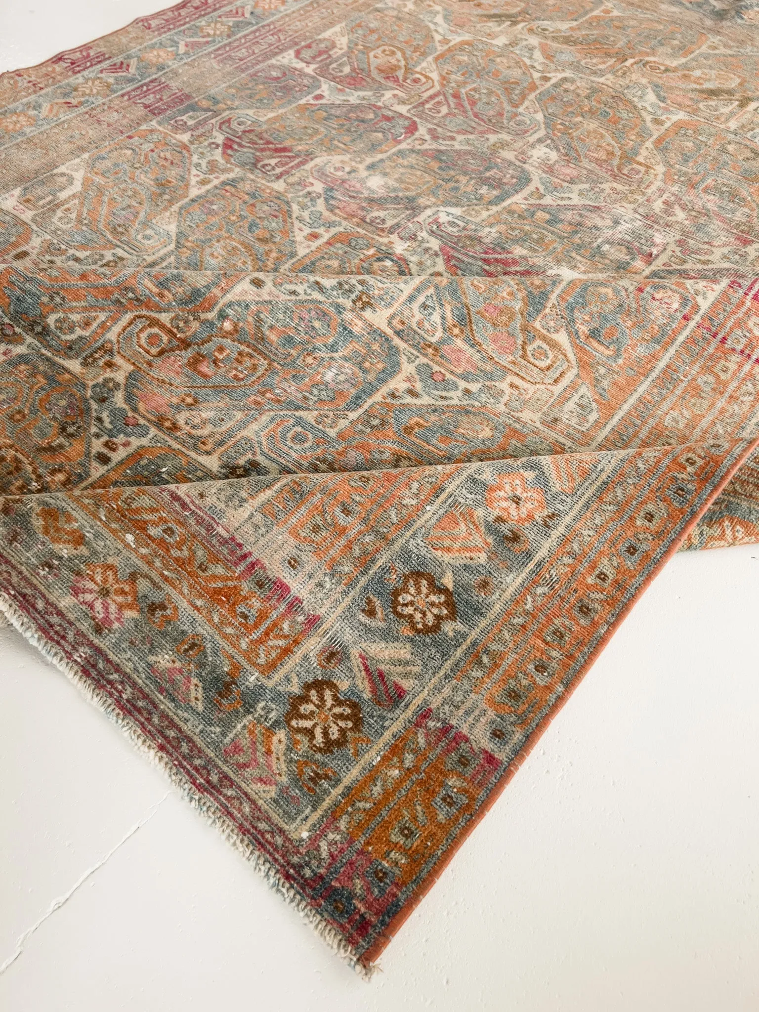 Paisley 4'8 x 6'2