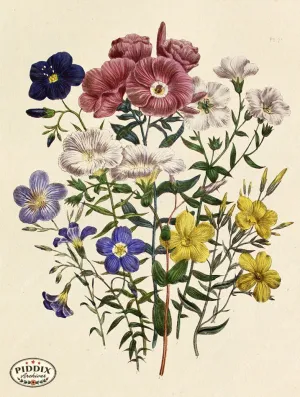 PDXC23570 -- Flower Bouquet Purples Yellow