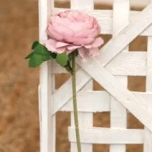 Peony Stem, Pink