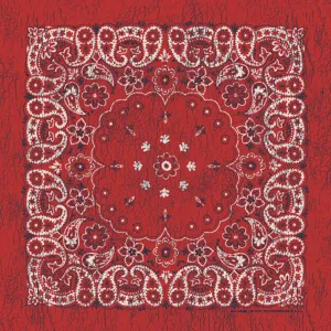 Rustic Red, White & Indigo Paisley Bandana